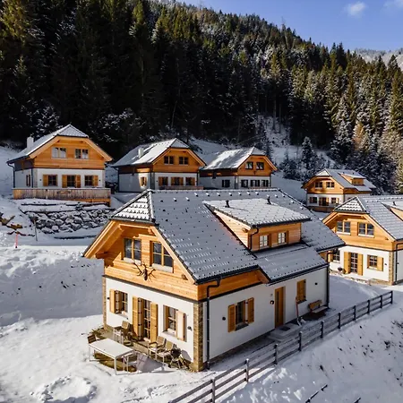 Domek alpejski Pretzel Donnersbachwald